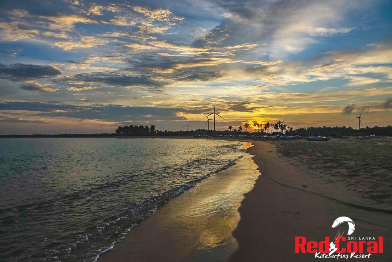 Red Coral Kitesurfing Resort Kalpitiya Zewnętrze zdjęcie